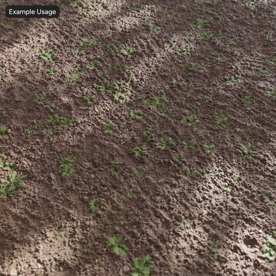 Ervas daninhas densas em textura de terra cultivada
