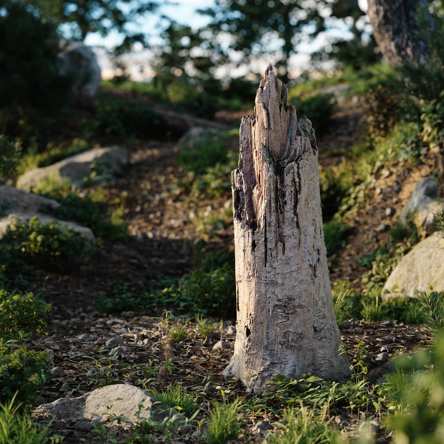 Medium Broken Splintered Bare Stump Model