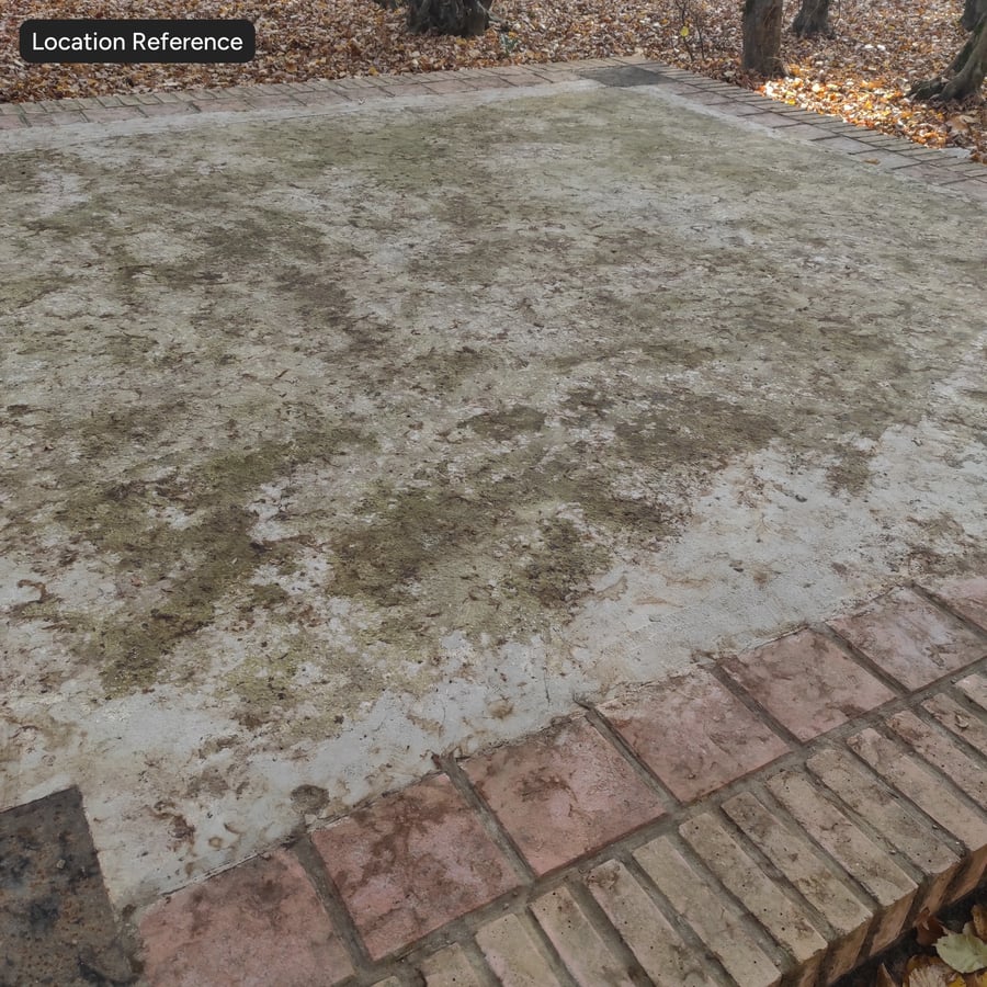 Mosachtige gevlekte betonvloertextuur