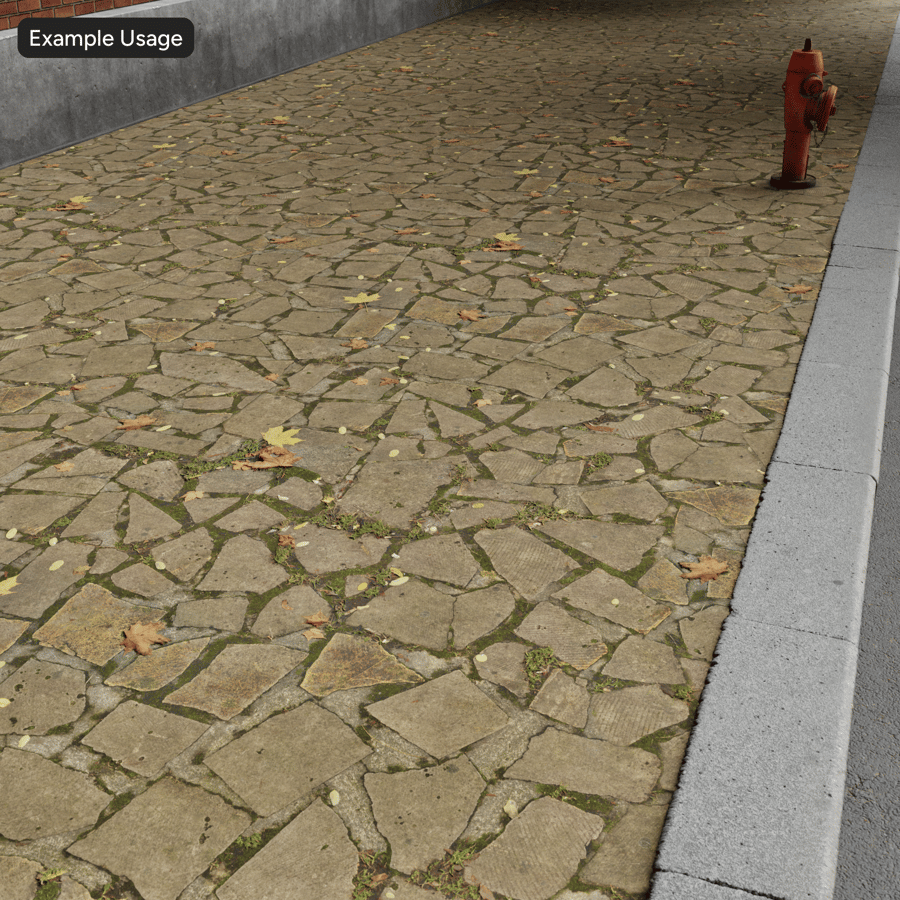 Leaves on Flat Stone Sidewalk Texture