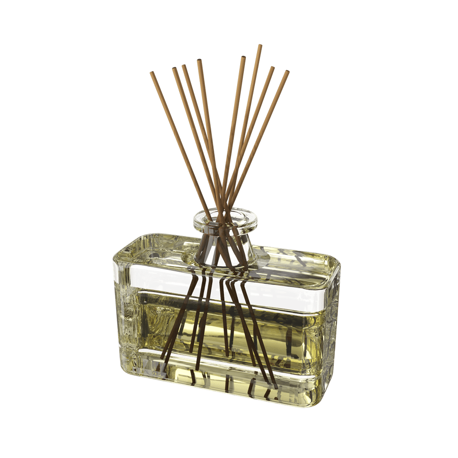 Glass Reed Diffuser Home Decor Model