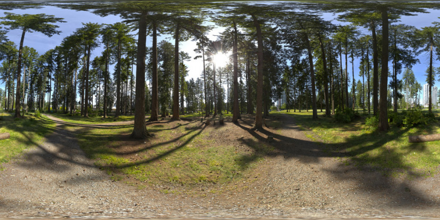 Park Forest Trail Clear Day Afternoon Outdoor Sky HDRI