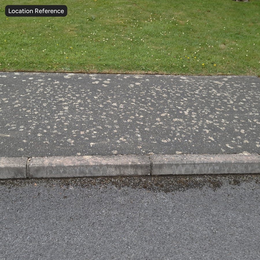 Lichen Spotted Concrete Ground Texture