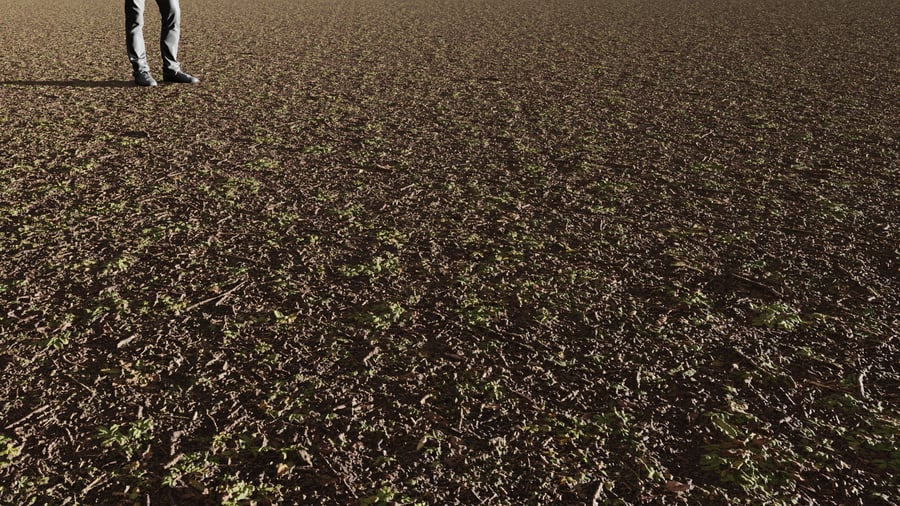 Patchy Forest Floor Dirt Ground Texture