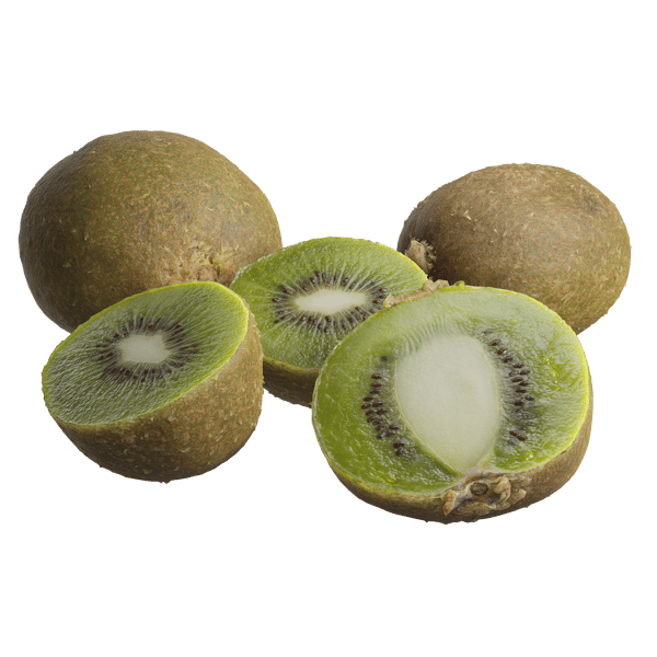 Kiwi-Modelle