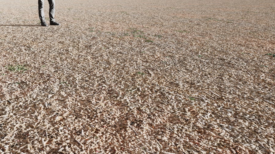 Mulch on Forest Texture, Beige