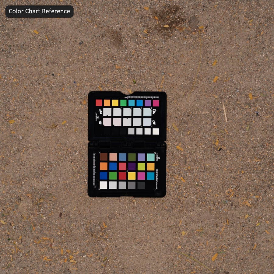 土路紋理上的輪胎印記