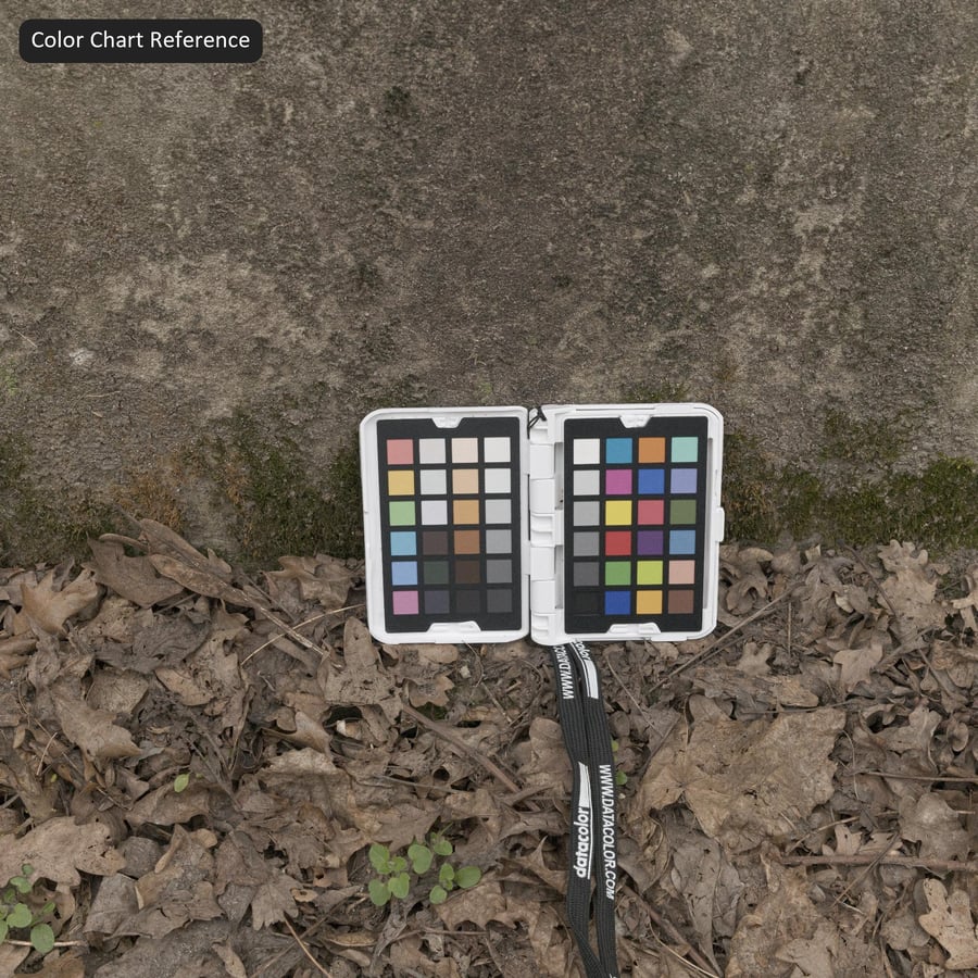 Wandtextuur van verweerd beton