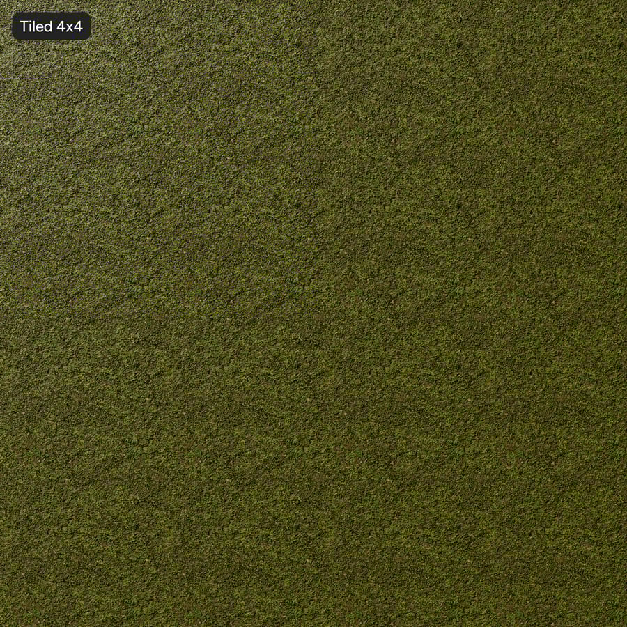 Plant Covered Forest Texture