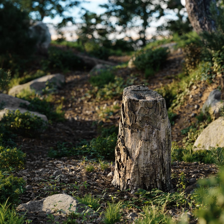 Medium Cut Decaying Mossy Stump Model