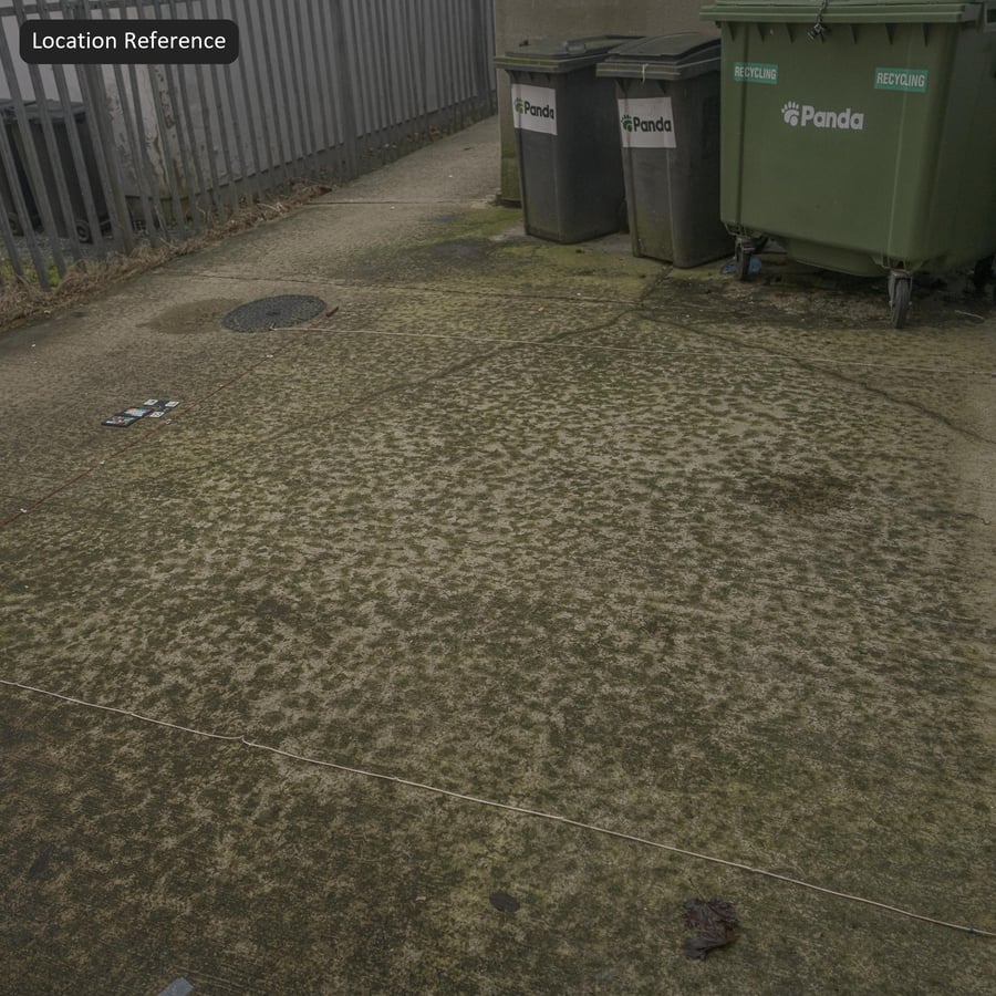 이끼 낀 빗자루 마감 콘크리트 텍스처