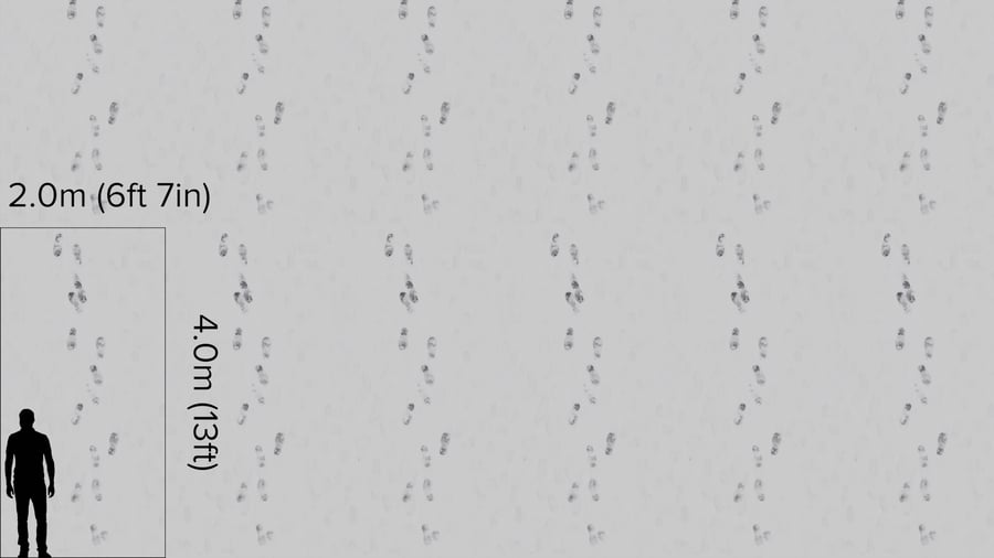Textura de pegadas na neve em duas direções
