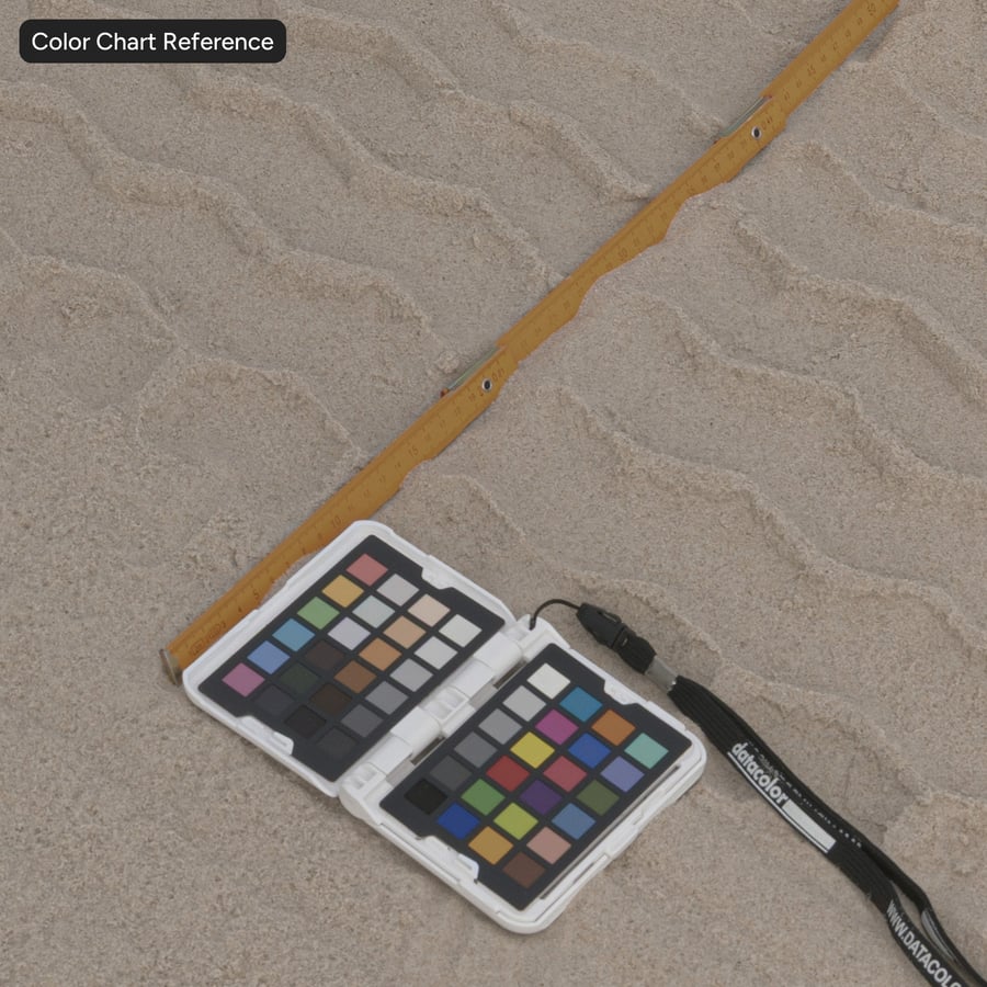 Texture de traces de pneus sur le sable de la plage