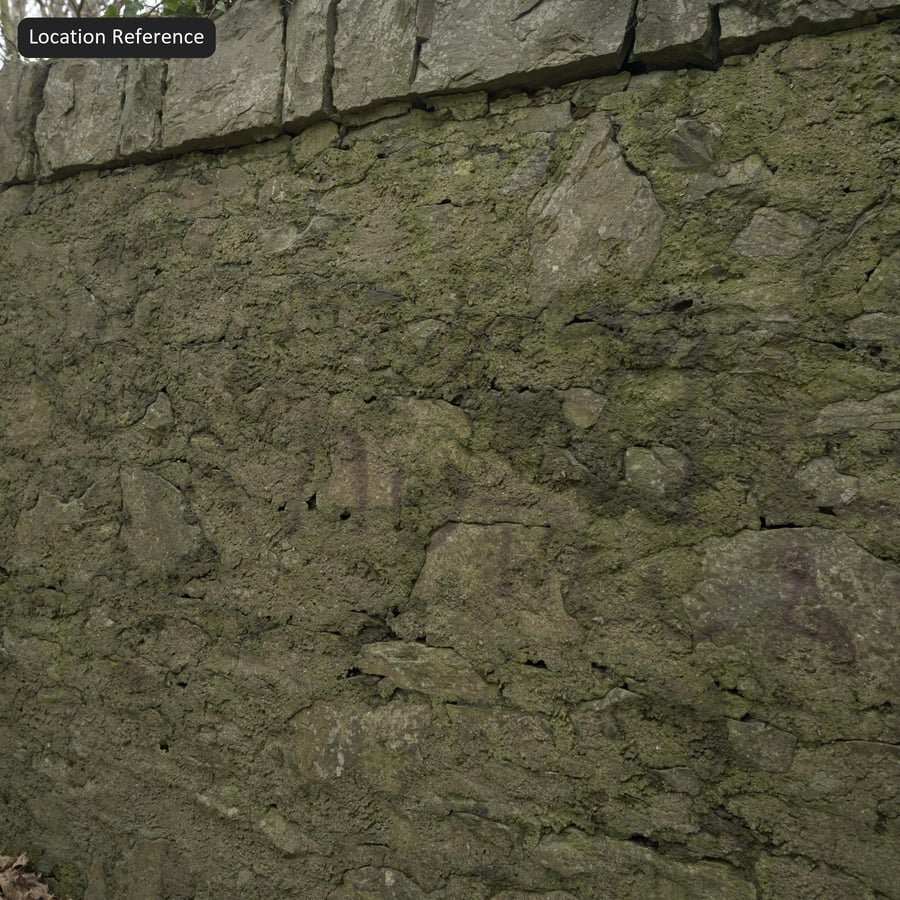 Mossy Stone Wall Texture