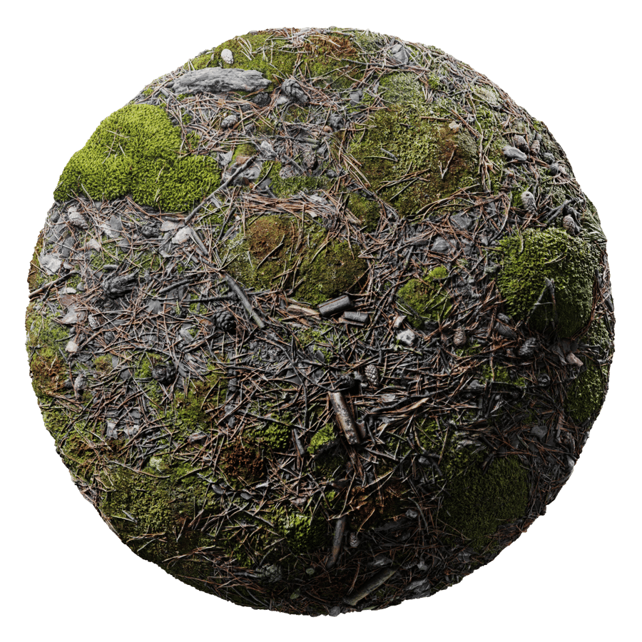 Ground Forest Mossy 002