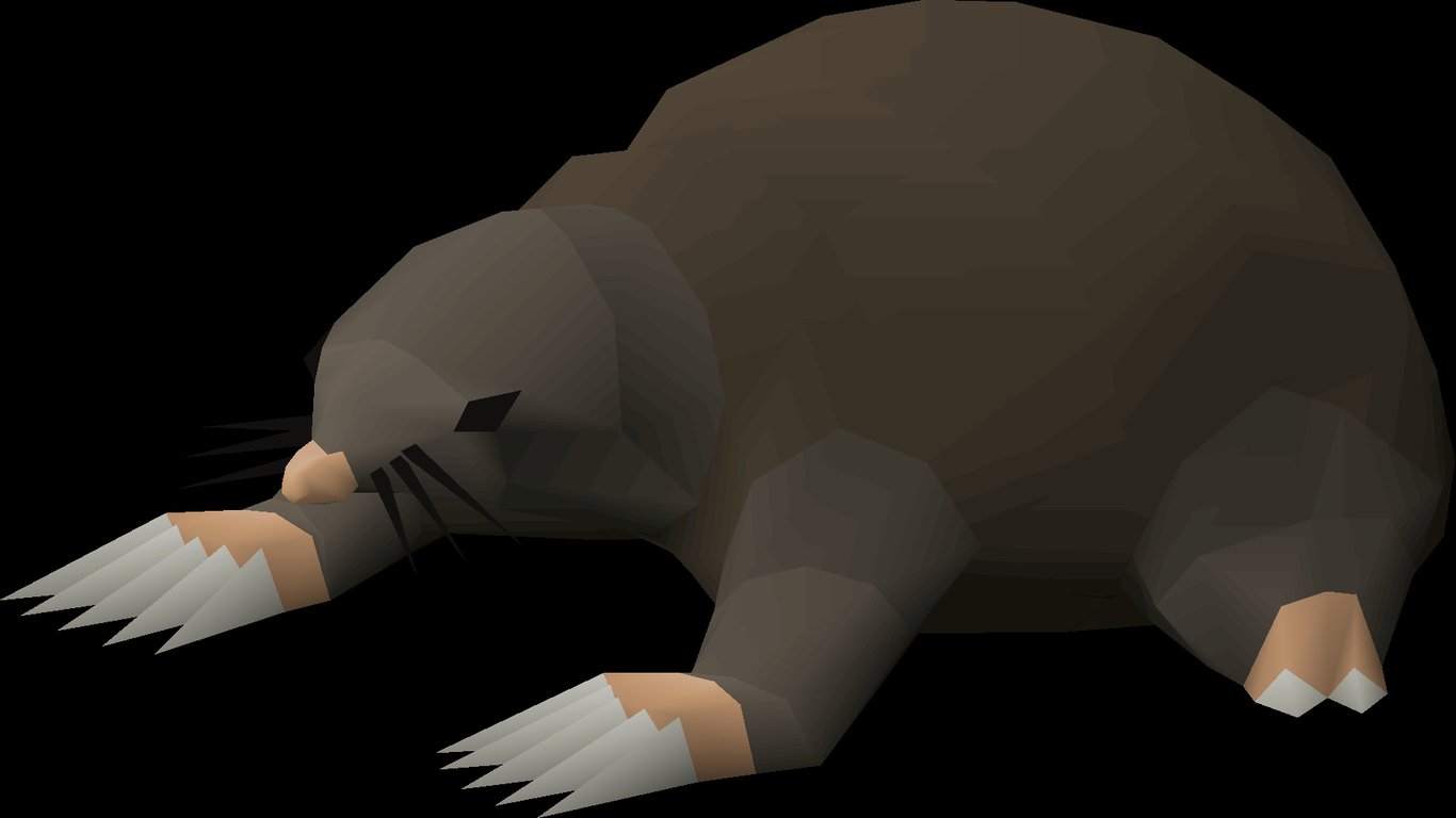 Giant Mole with her claws visible