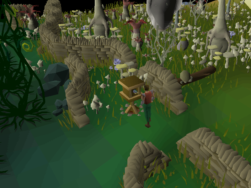 A bird house on Fossil Island, an example of a repeatable account goal