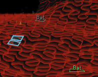 Fight Caves Spawn Predictor showing labelled Bat spawn tiles for different wave displays