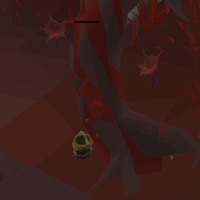 A wounded bloodwood tree draining sap into a bucket