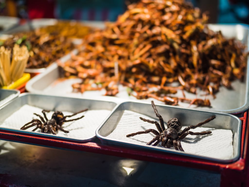 Kata Night Market gallery image 1