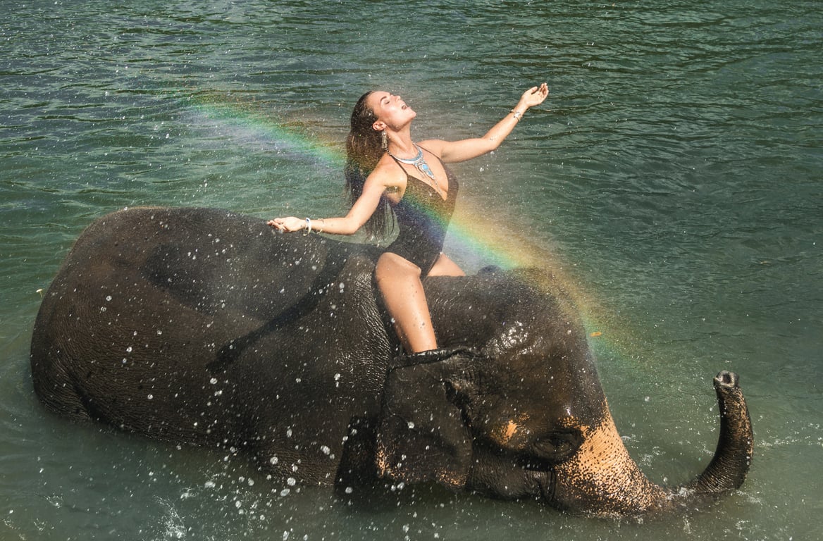 Douche with elephants in the sea gallery image 1