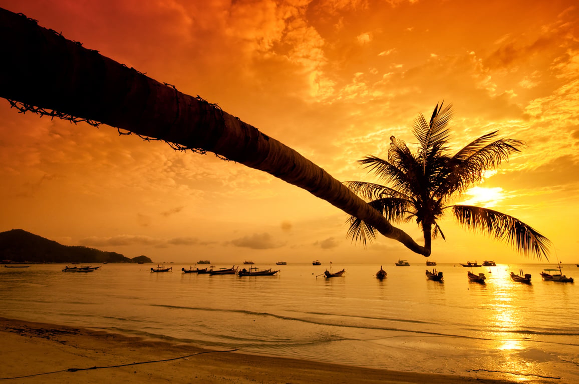 Ko Tao gallery image 1