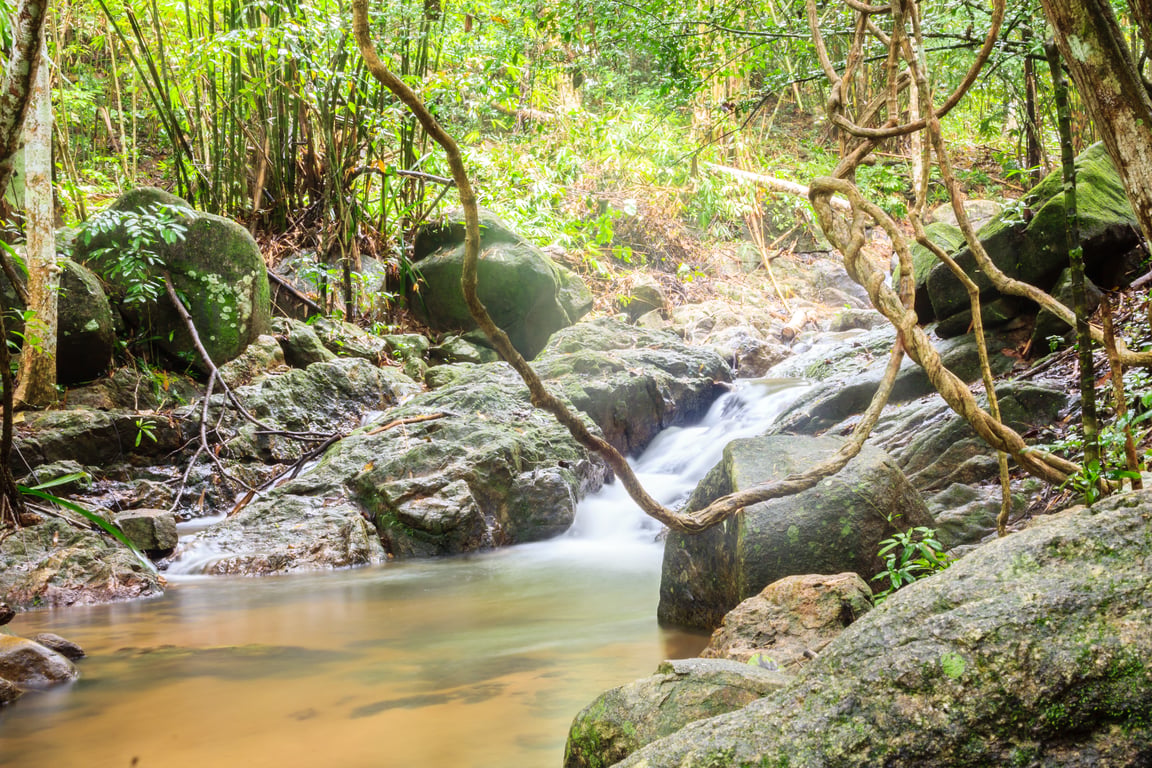 Bang Pae Waterfall gallery image 1