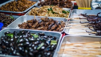 Kata Night Market point of interest in Thailand