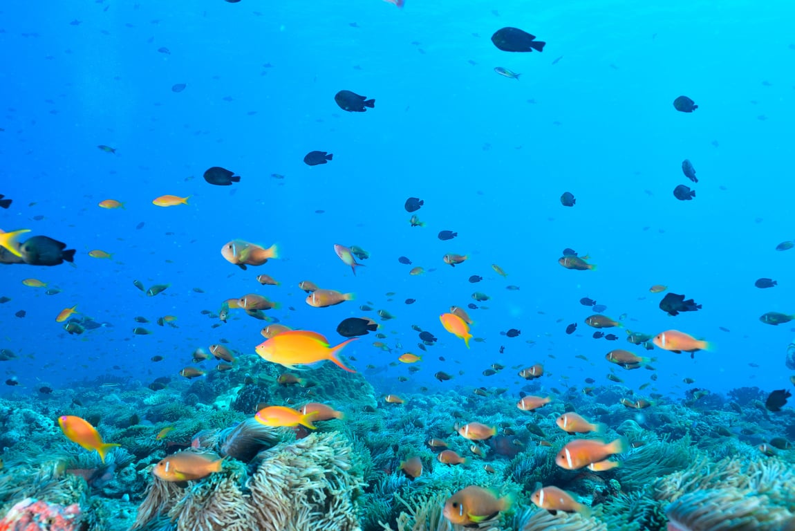 Top 10 Interesting Activities That You Can Enjoy In Phuket gallery image 1