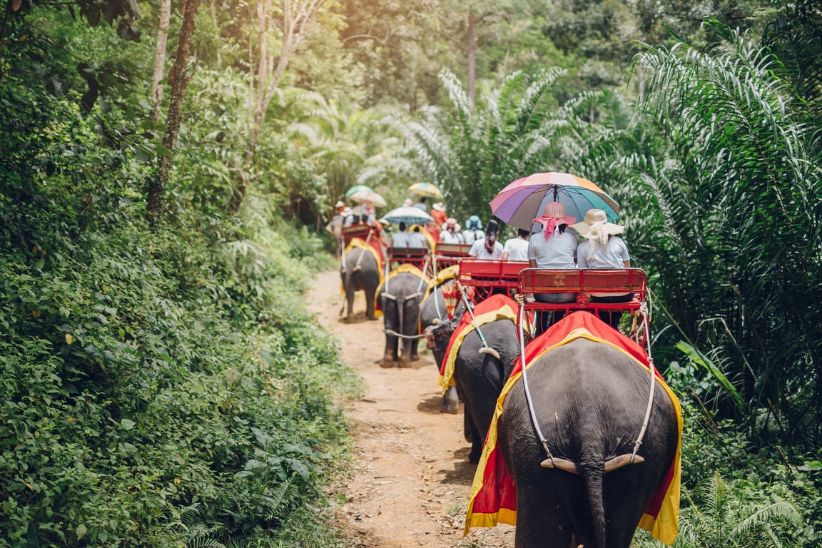 Phuket Elephant Sanctuary — The best places to visit in Phuket
