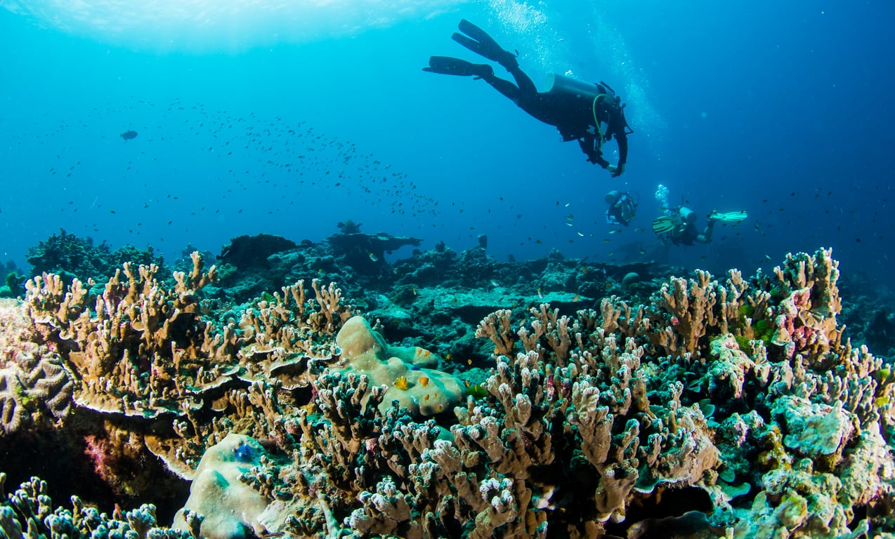 Scuba Diving in Phuket — Top 10 Interesting Activities That You Can Enjoy In Phuket