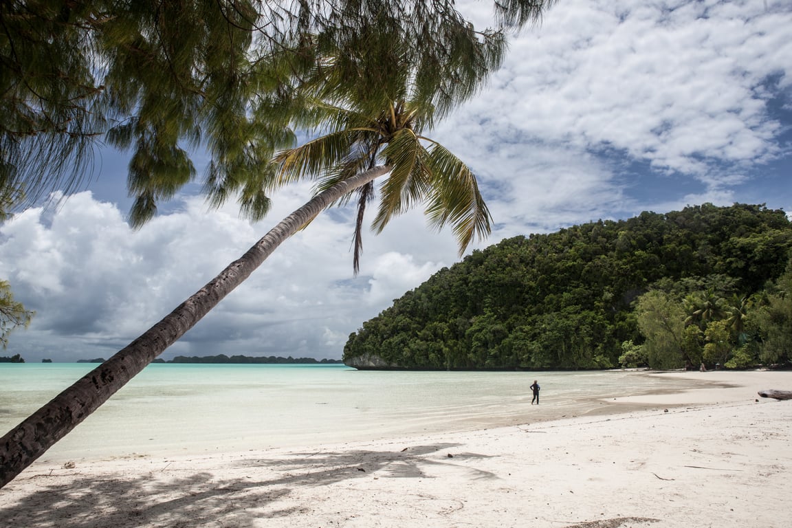 Palai Beach gallery image 1