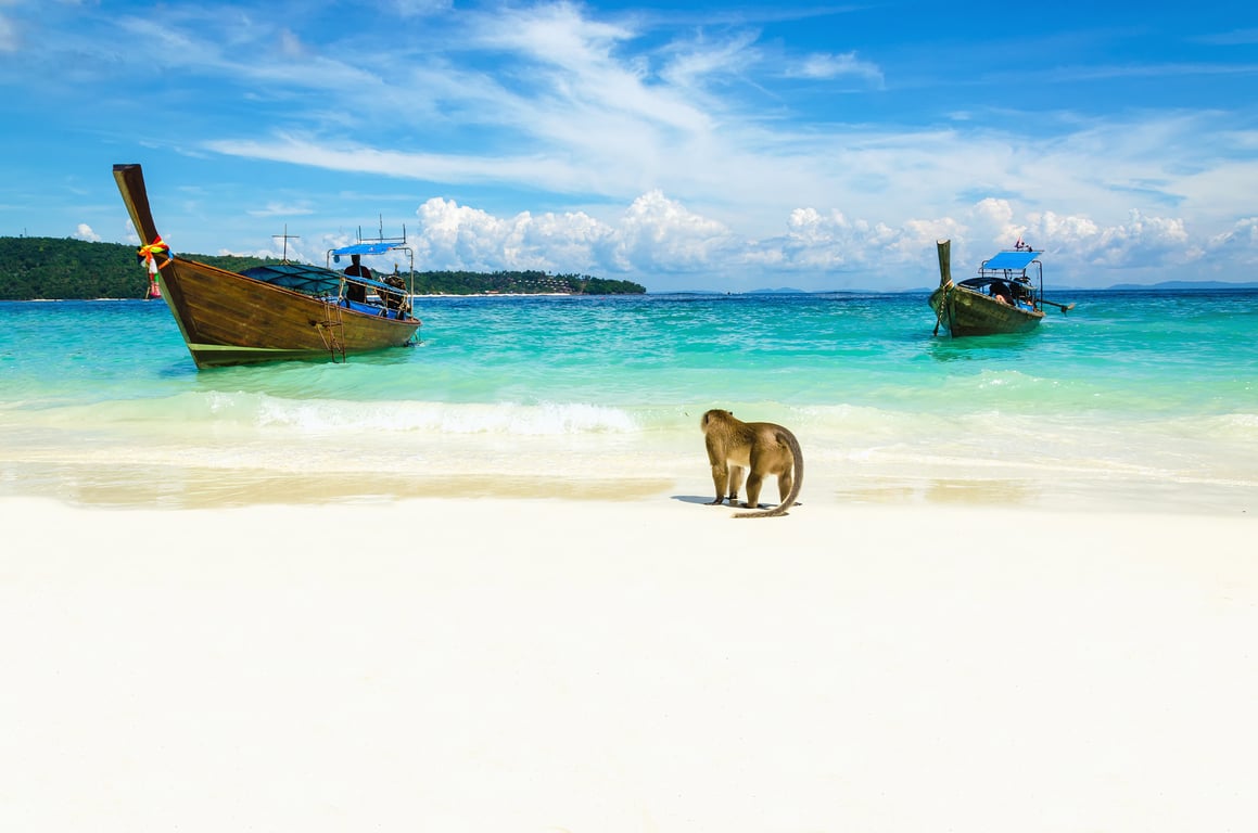 Relax on Phuket's Best Beaches — 14 Top-Rated Attractions in Phuket