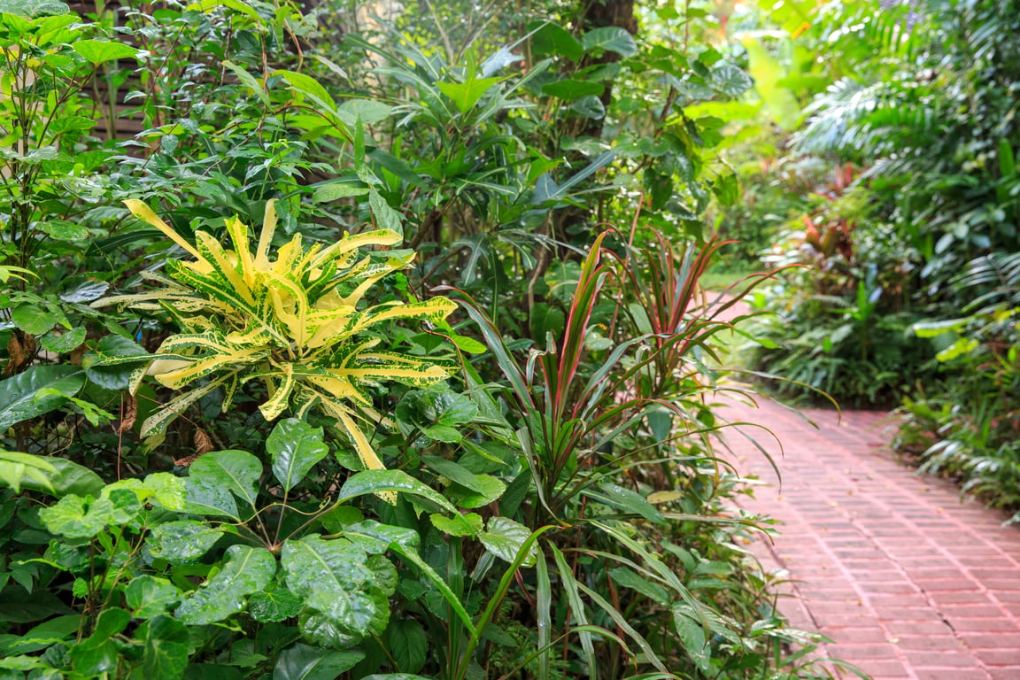 Phuket Botanic Garden gallery image 1