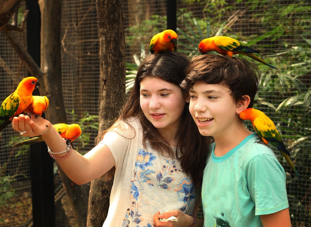 Phuket Bird Park gallery image 1