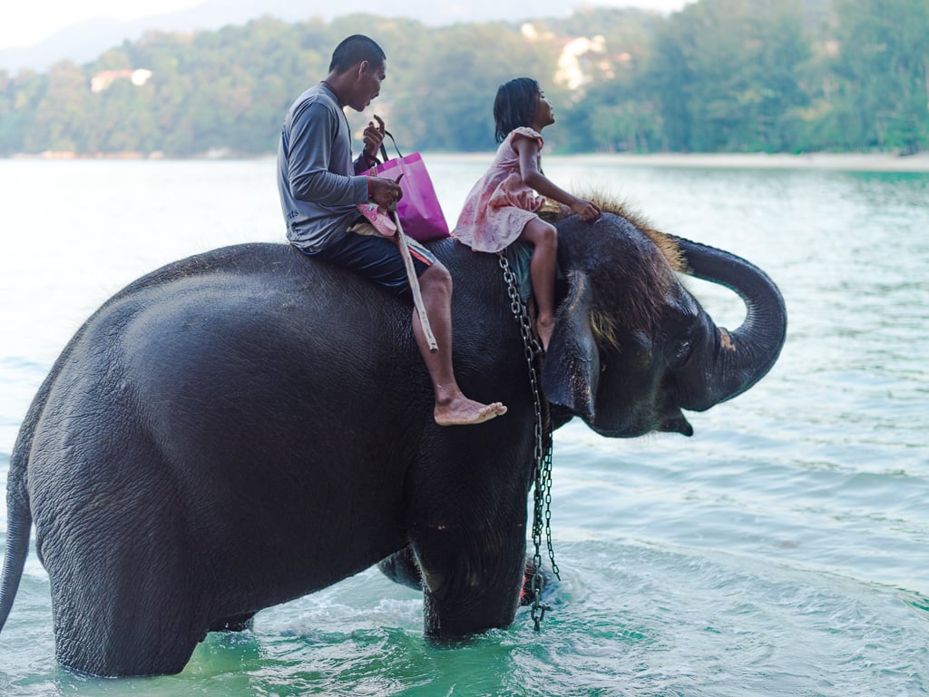 Bareback Elephant Riding gallery image 1