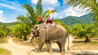 Elephant Trekking Tour excursion in Thailand