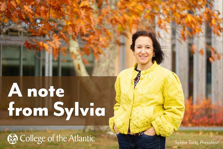 Person in yellow jacket outdoors