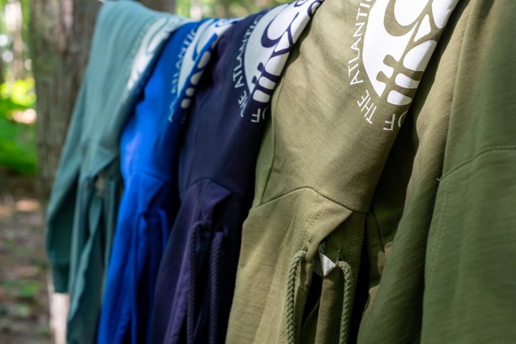 Hoodies hanging on a line