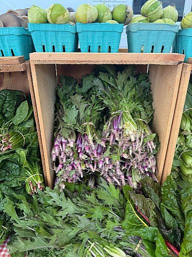 Addressing student food insecurity is central to Beet the System, an initiative led by Bliss Matthews ’27 that grew out of a wr...