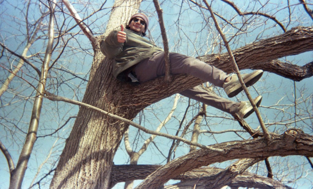 Gael sitting in a tree