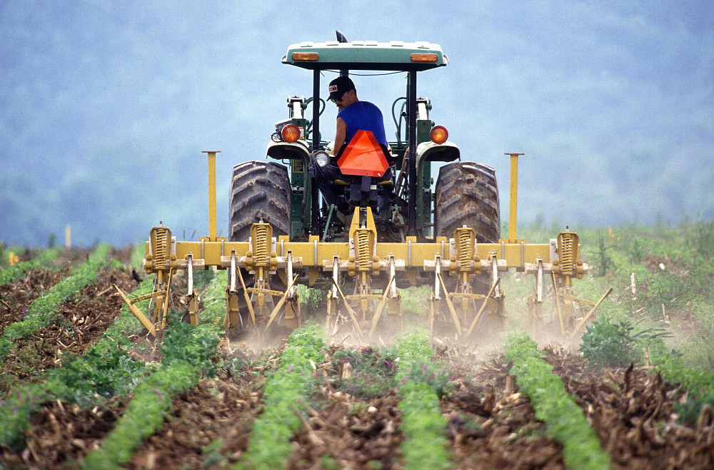 Tractor cultivating a green field.