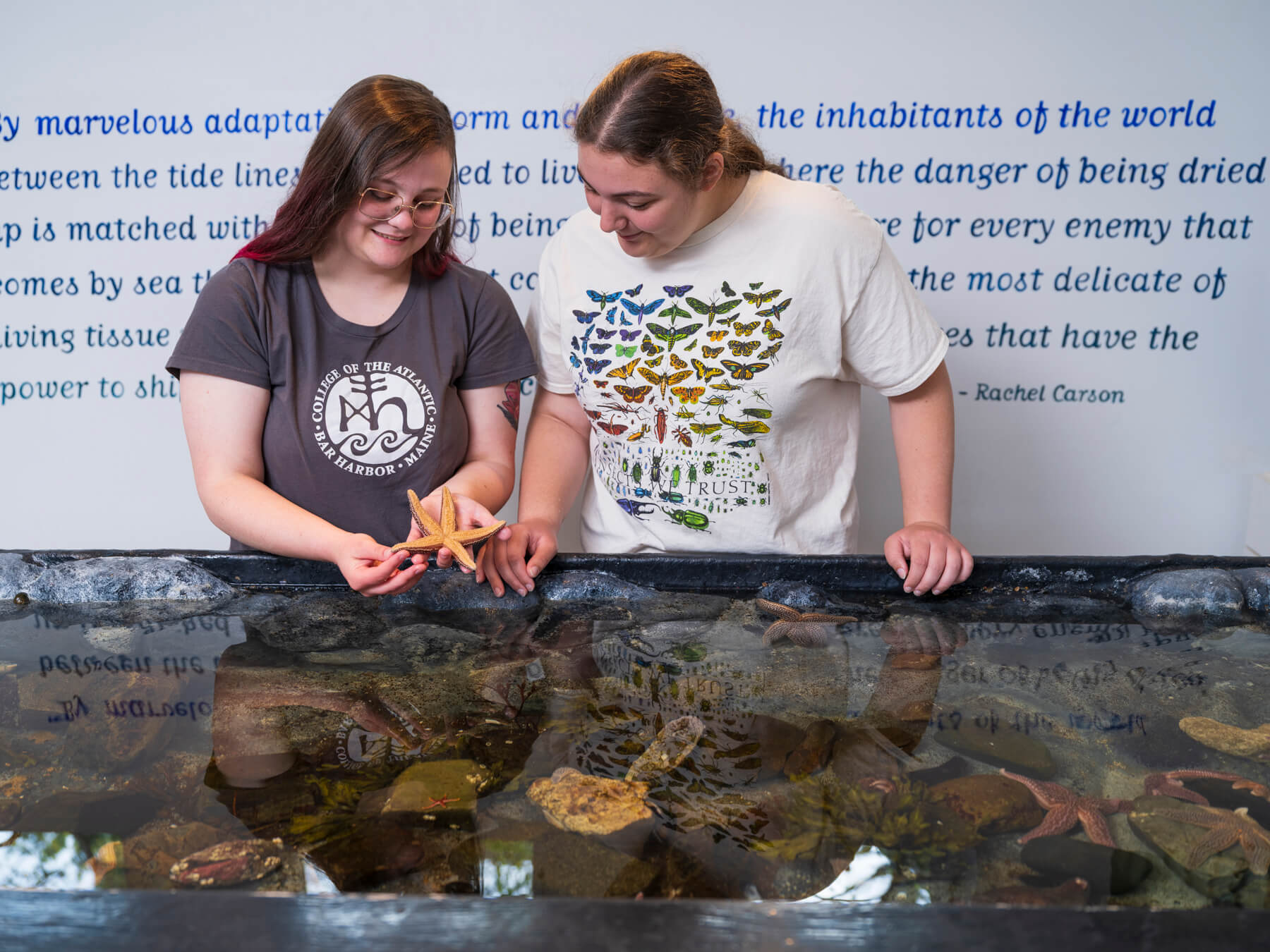 Two women interacting with starfish.