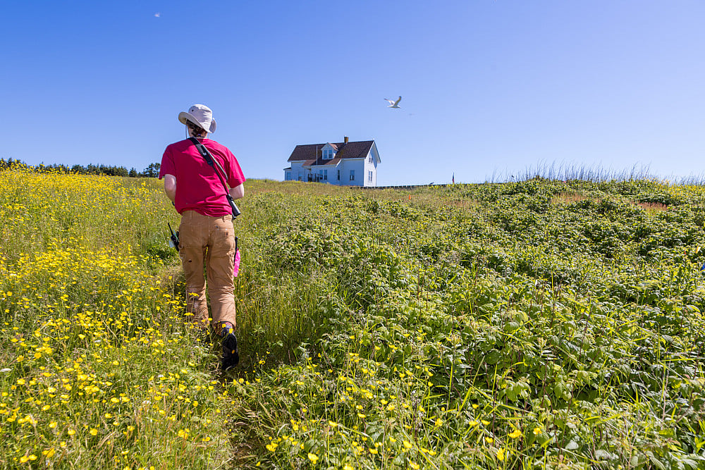 Person walking towards a house