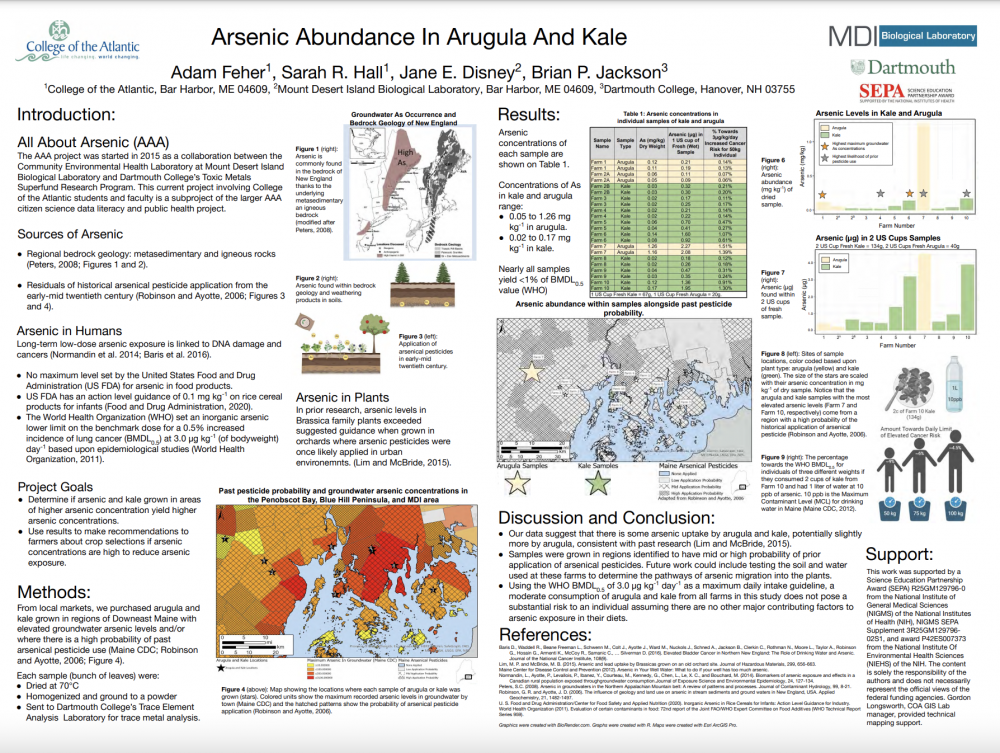 Poster by Adam Feher ’23 on arsenic abundance in argula and kale.