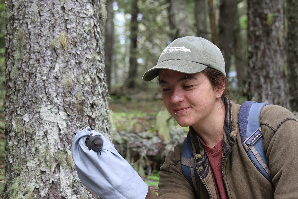 Goldwater Scholarship recipient Autumn Pauly ’26 working with petrels at the COA Alice Eno Field Research Station on Great Duck...