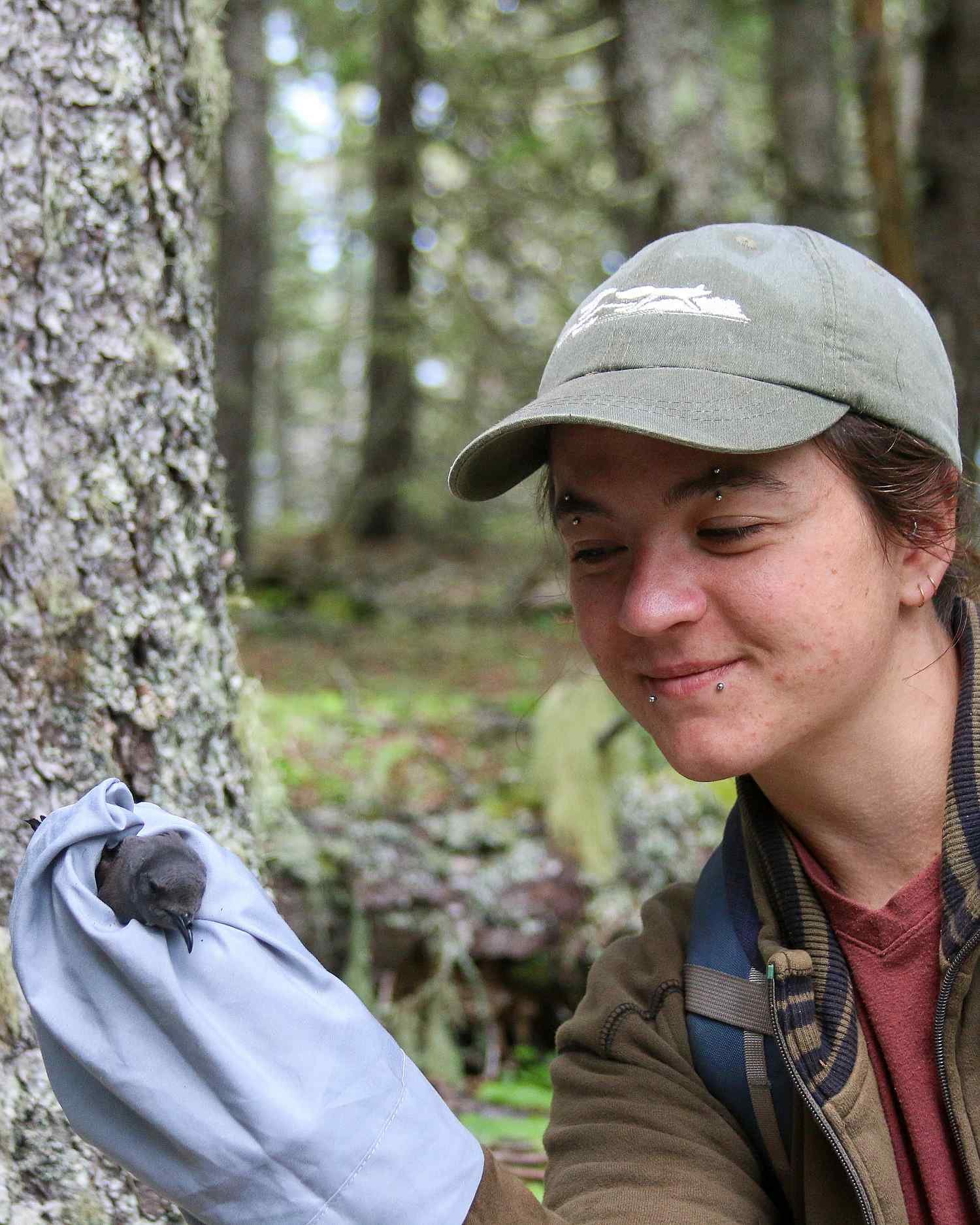 Autumn Pauly ’26 with a Leech's storm petrel at the Alice Eno Field Research Station on Great Duck Island. Pauly presented ...