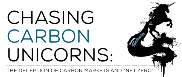 9467 Carbon Unicorns ENG