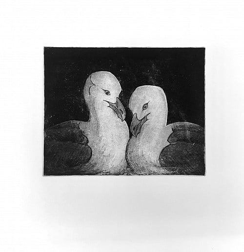 Two birds facing each other.