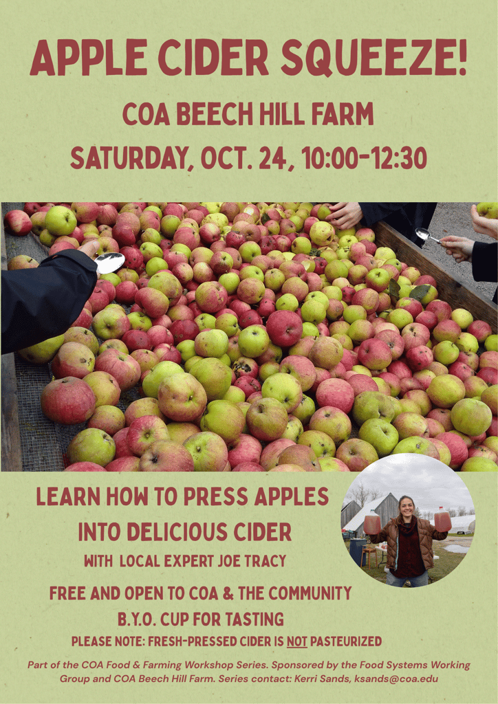 Apple cider squeeze